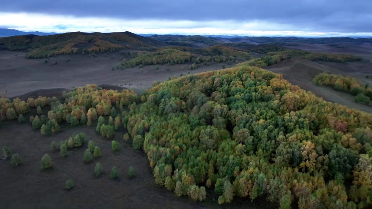 秋天乌兰布统五彩斑斓的草原清晨视频素材