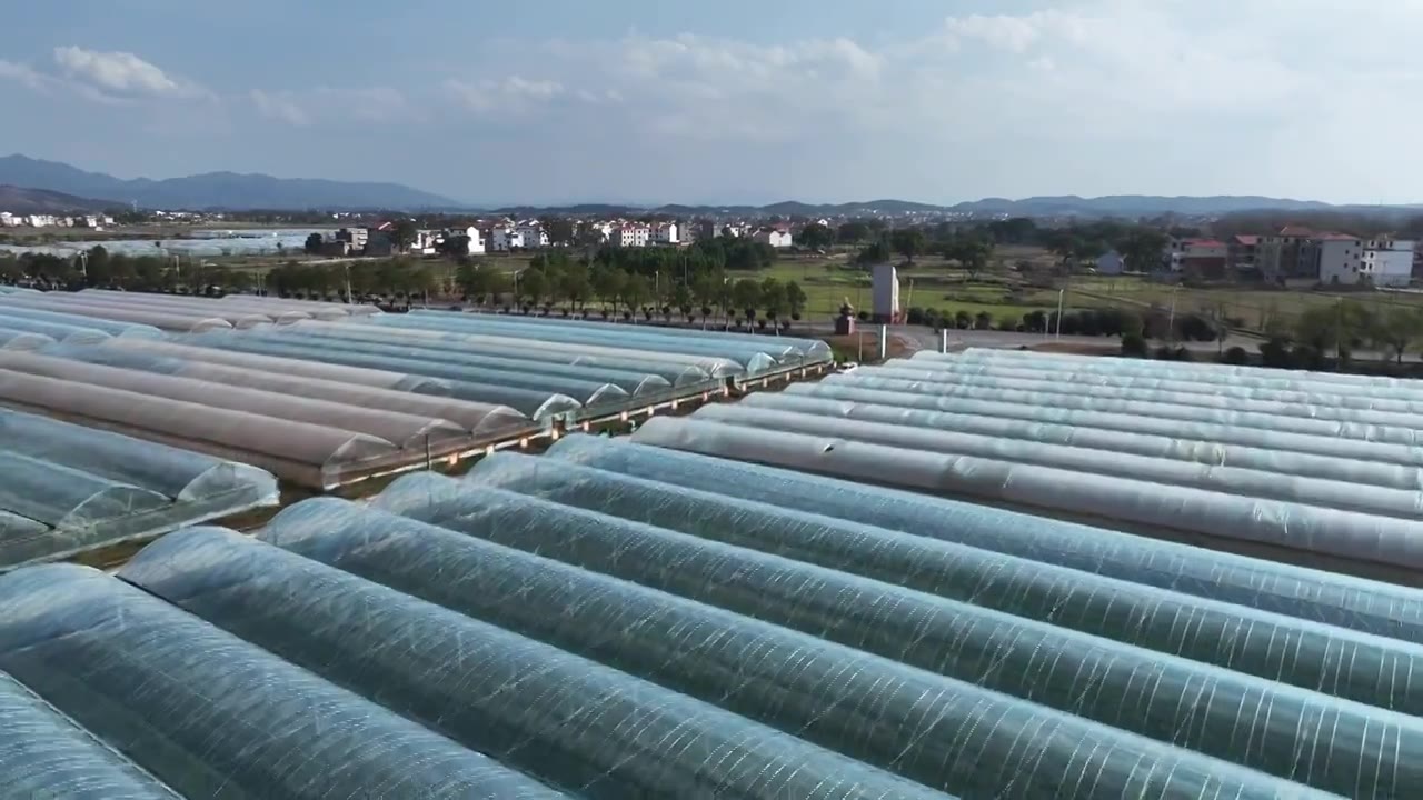 航拍江西省吉安市绿色农业蔬菜大棚基地视频下载