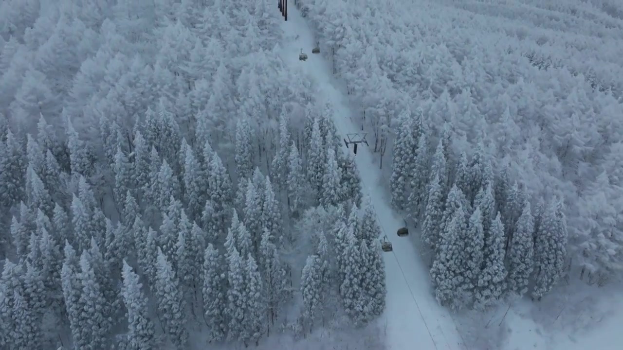 航拍冬季滑雪场视频下载