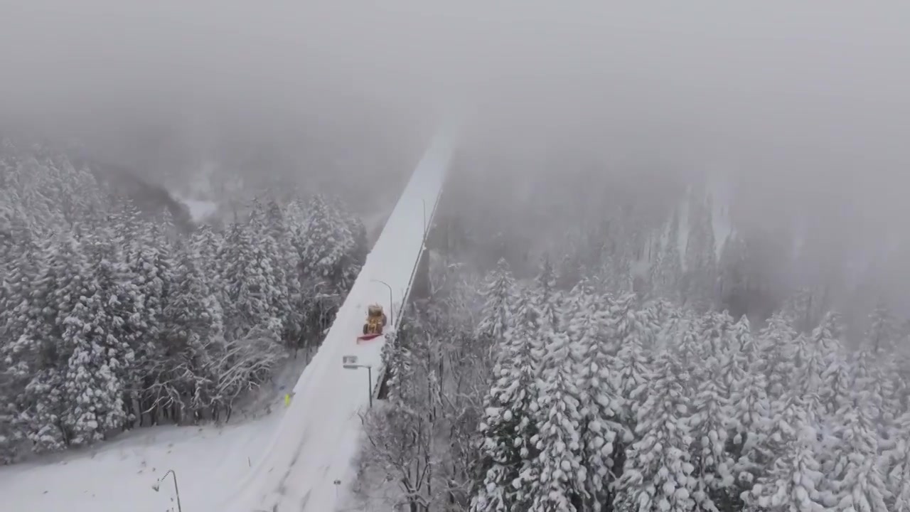 航拍冬季森林雪景视频下载