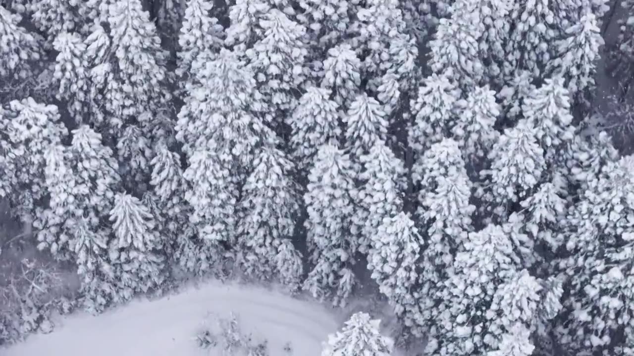 航拍冬季森林雪景视频素材