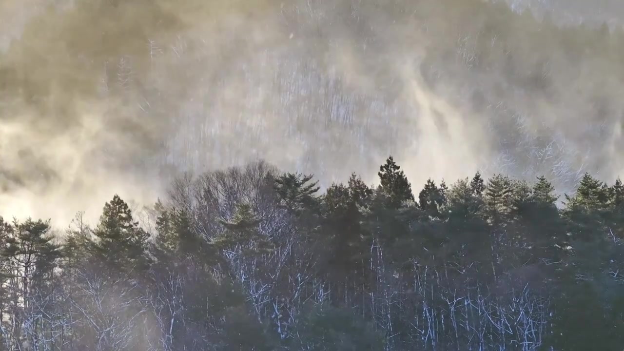 航拍清晨雪中的森林和晨雾视频下载