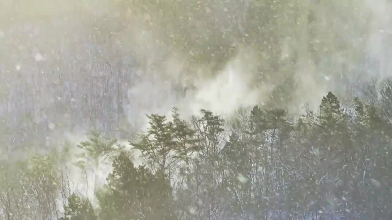航拍清晨雪中的森林和晨雾视频下载