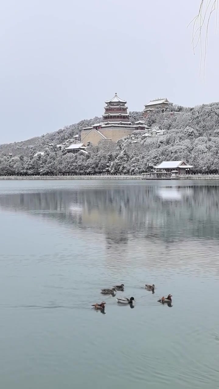 冬天雪后的北京颐和园实时视频视频下载