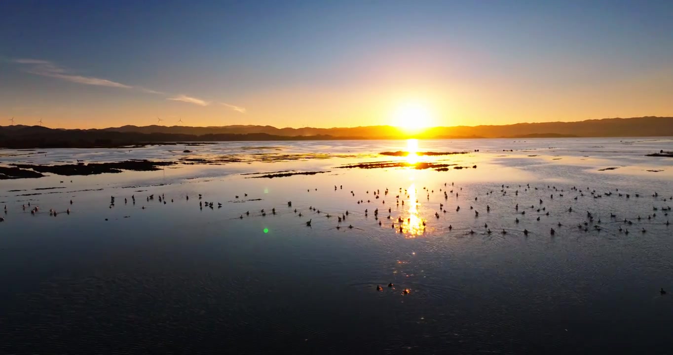 4K威宁草海黑颈鹤保护区日出日落视频下载