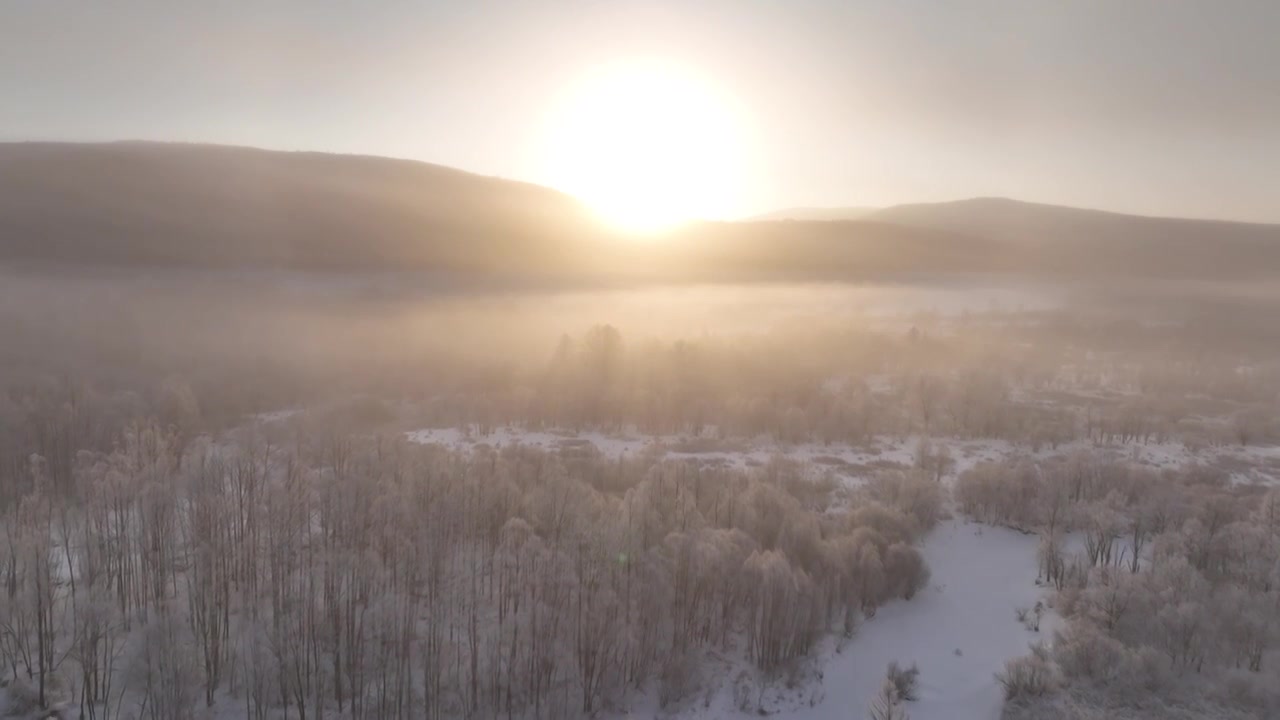 曙光照耀冻雾迷漫的林海雪原视频素材
