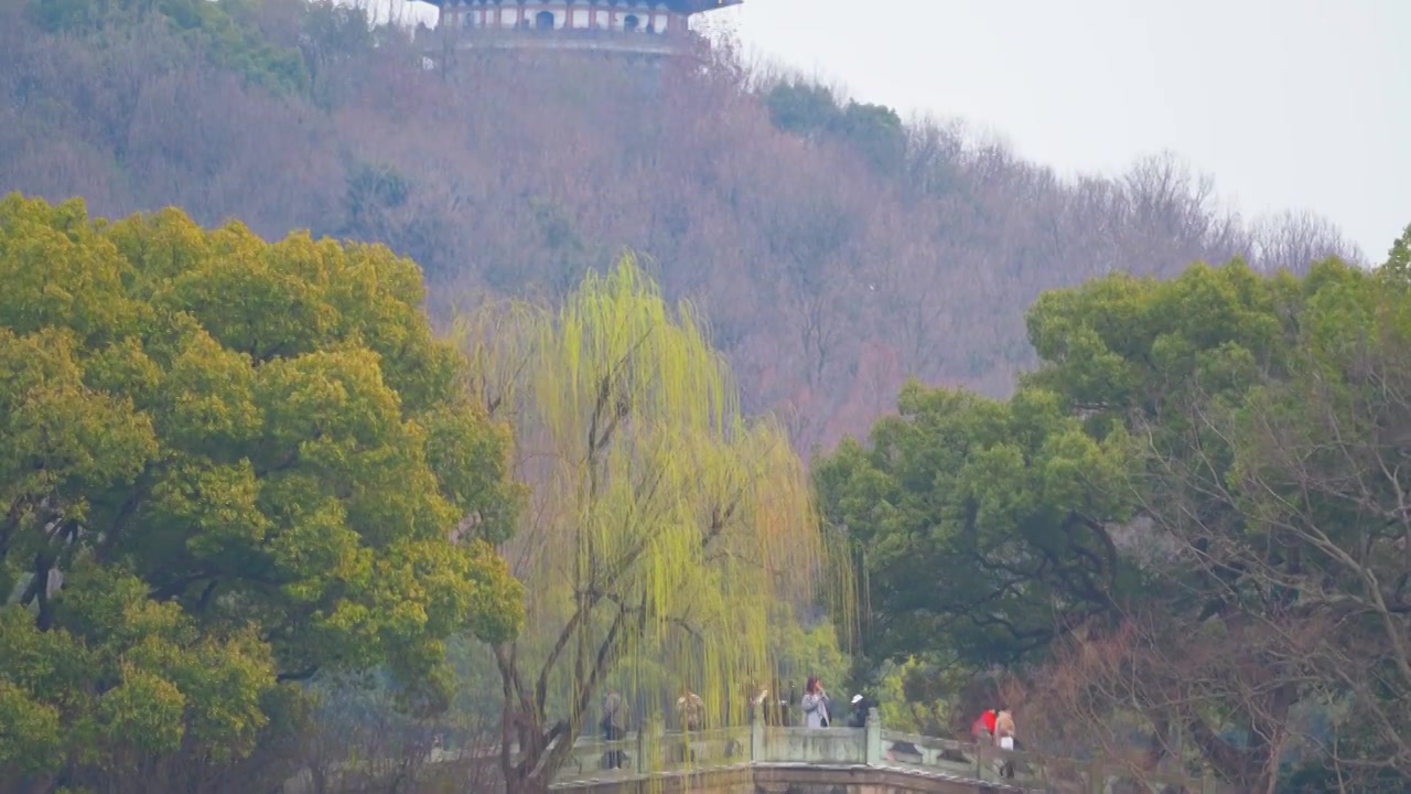 杭州西湖雷峰塔春天建筑风景视频素材