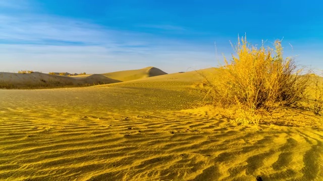 新疆塔克拉玛干沙漠视频下载