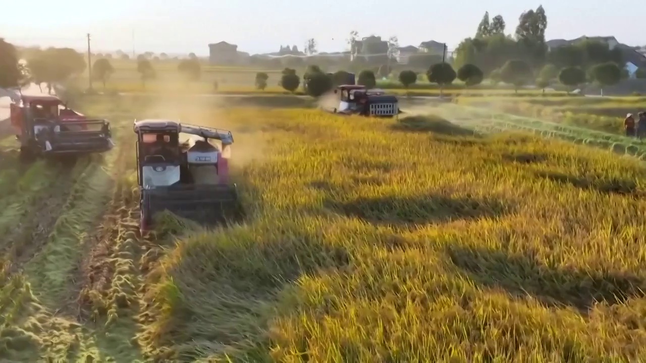 中国农业农村发展乡村振兴丰收航拍（选编）视频下载