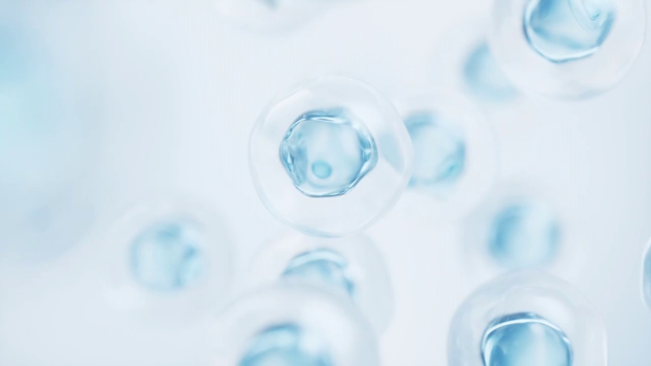 透明球形细胞生物科技背景3D渲染视频素材