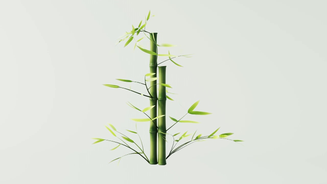 绿色竹子和竹叶循环动画3D渲染视频素材