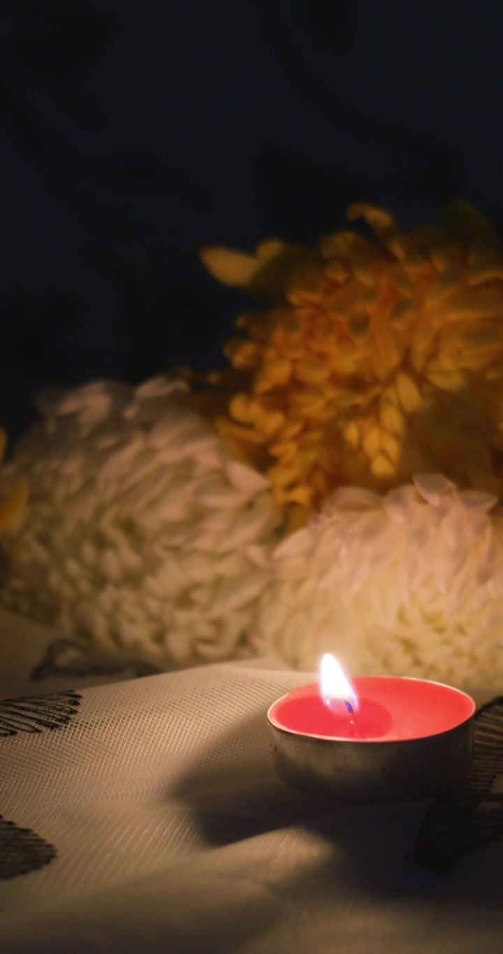 清明悼念菊花蜡烛公祭日视频素材