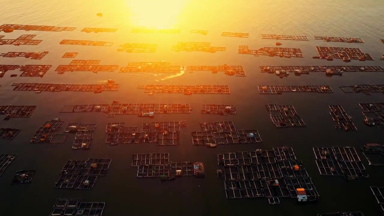 广东阳江海陵岛夕阳下闸坡渔港码头航拍视频素材
