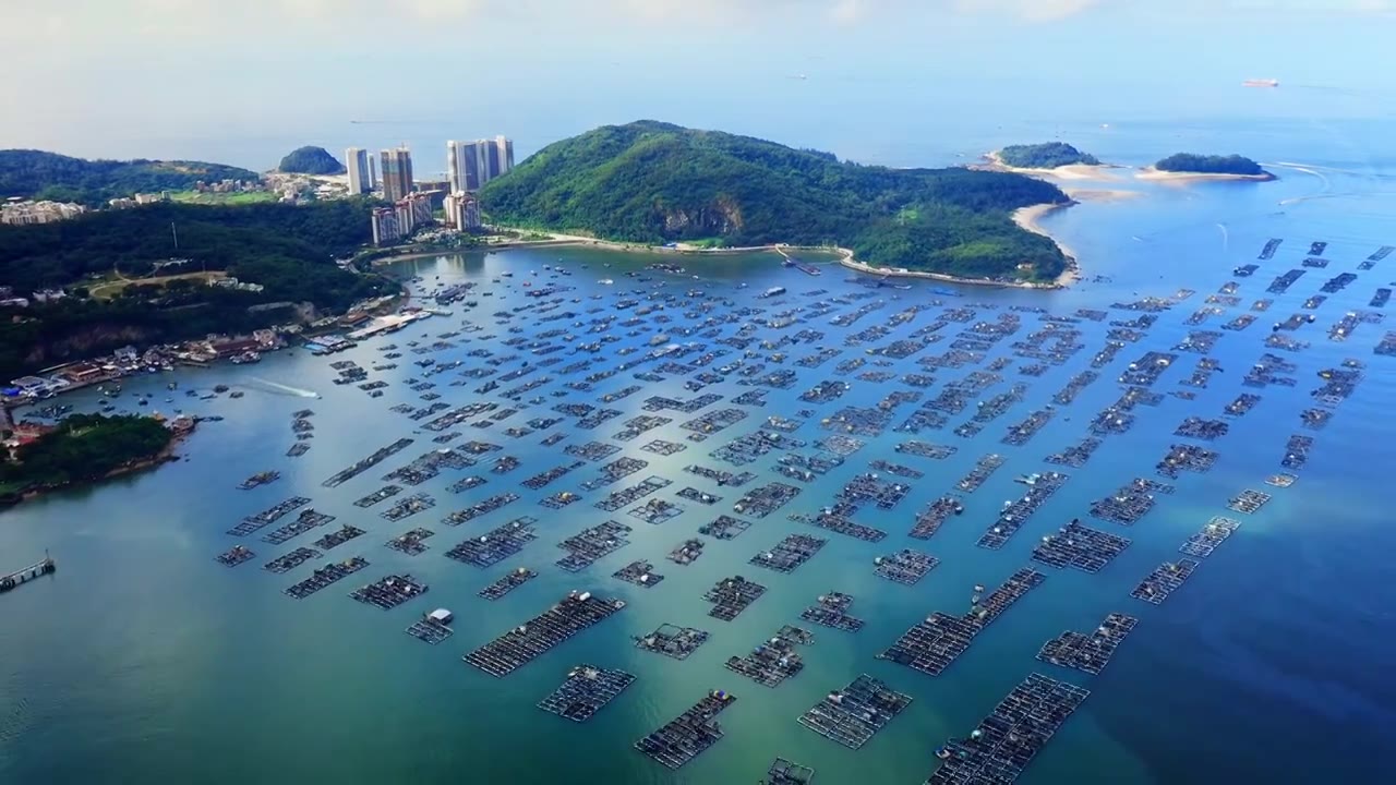 广东阳江海陵岛夕阳下闸坡渔港码头航拍视频素材