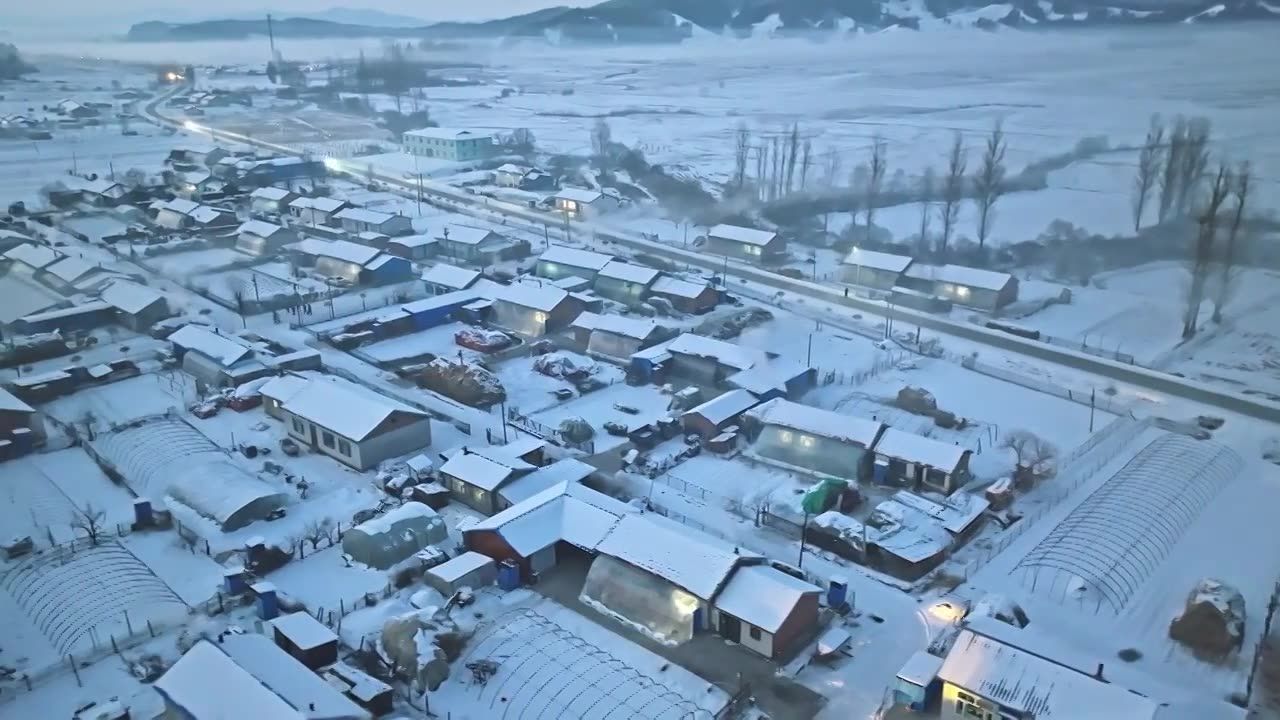 【合集】东北乡村雪后夜晚视频下载