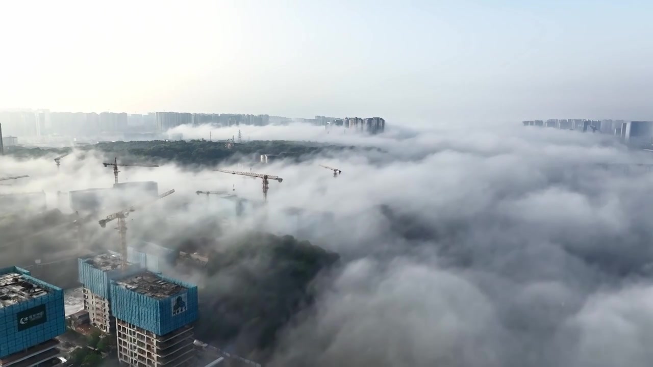 网红长沙湘江上的平流雾奇观视频下载