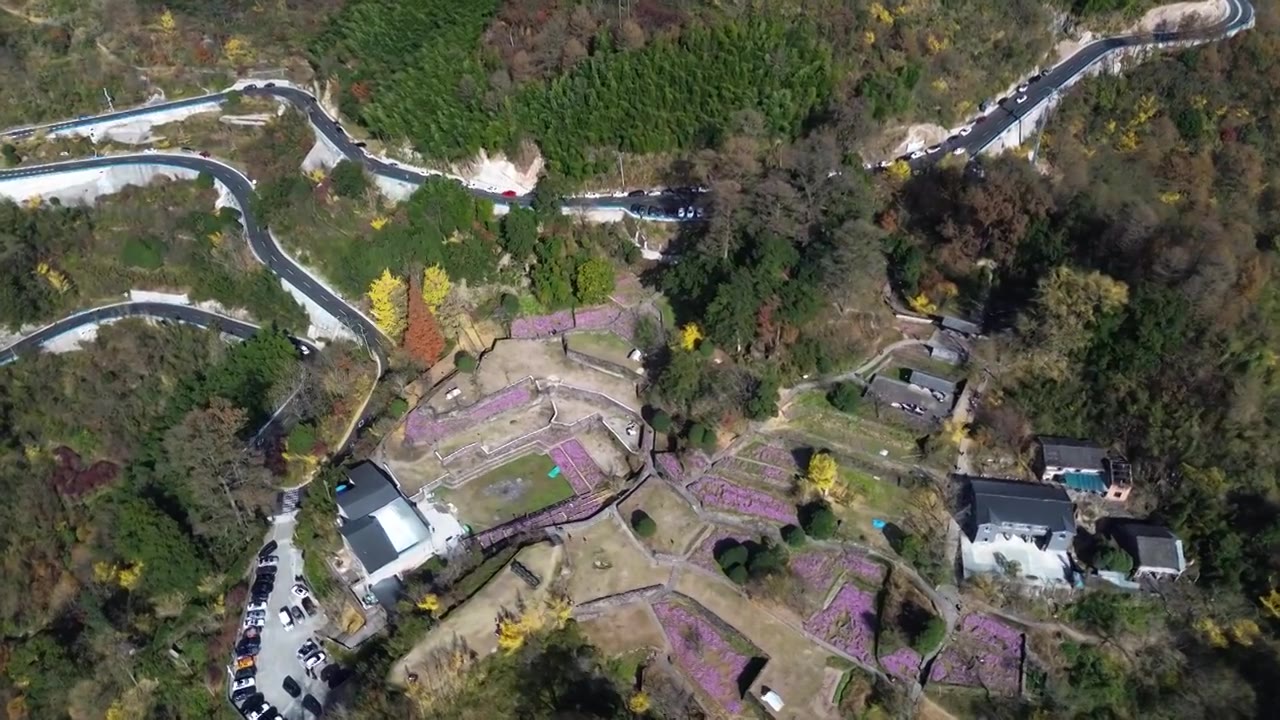 宁波四明山茅镬古树公园秋季风景航拍合集视频素材