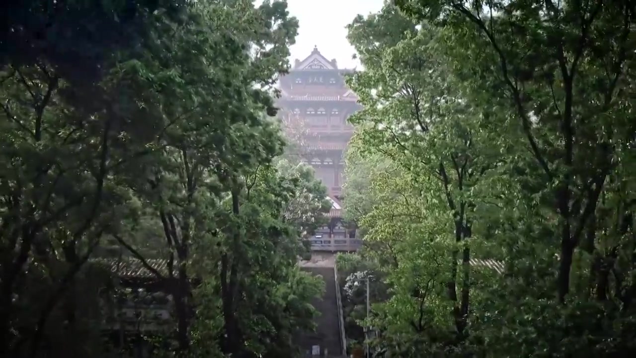 武汉东湖公园风景区自然风光航拍视频视频素材