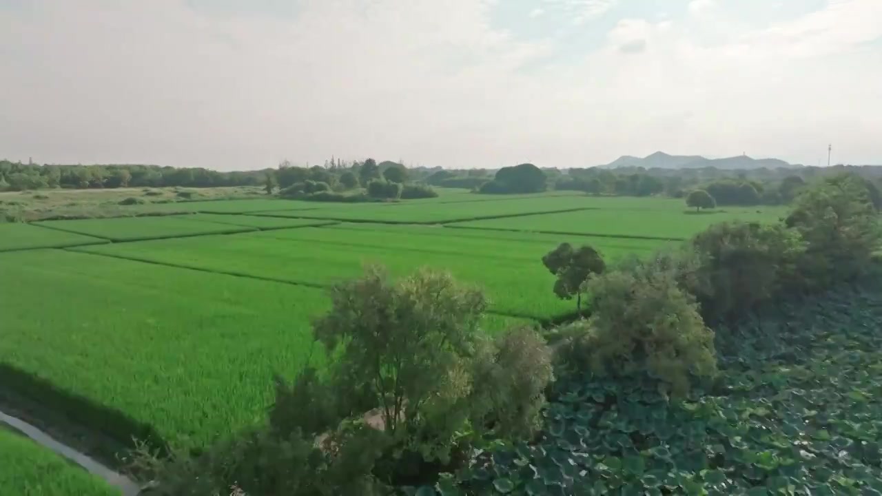 杭州风光航拍视频素材