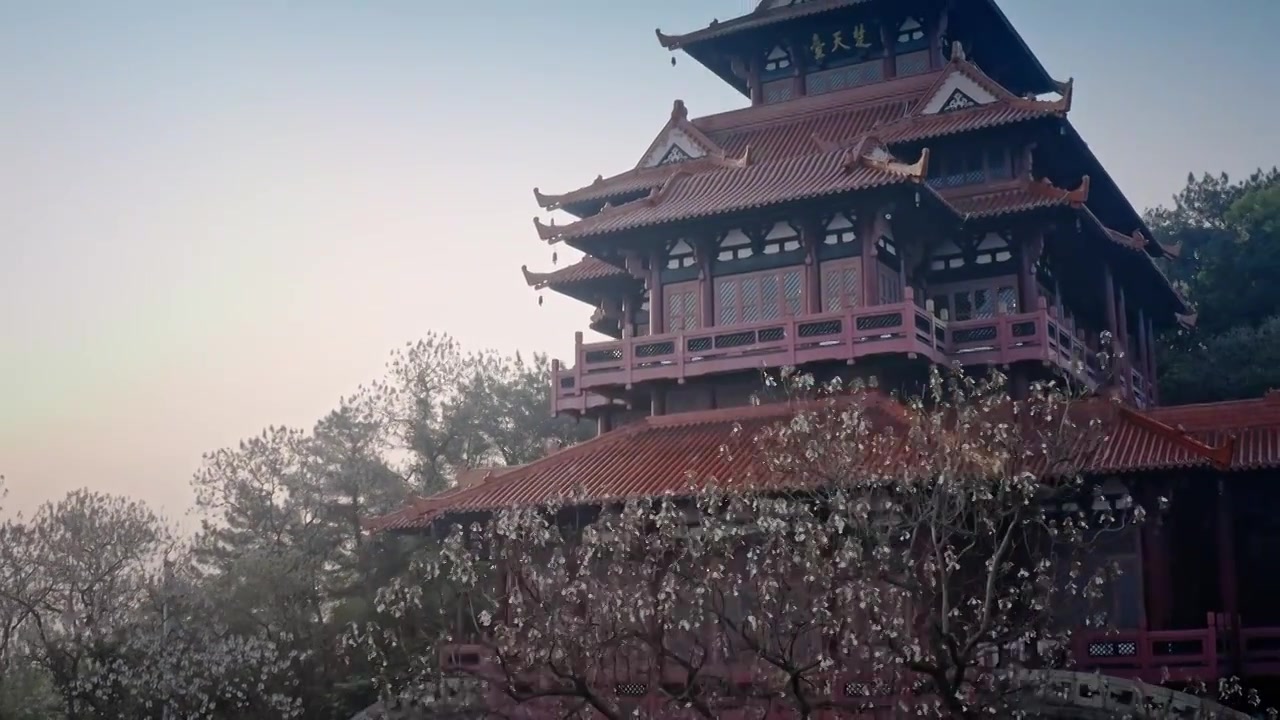 武汉东湖公园风景区自然风光航拍视频视频下载