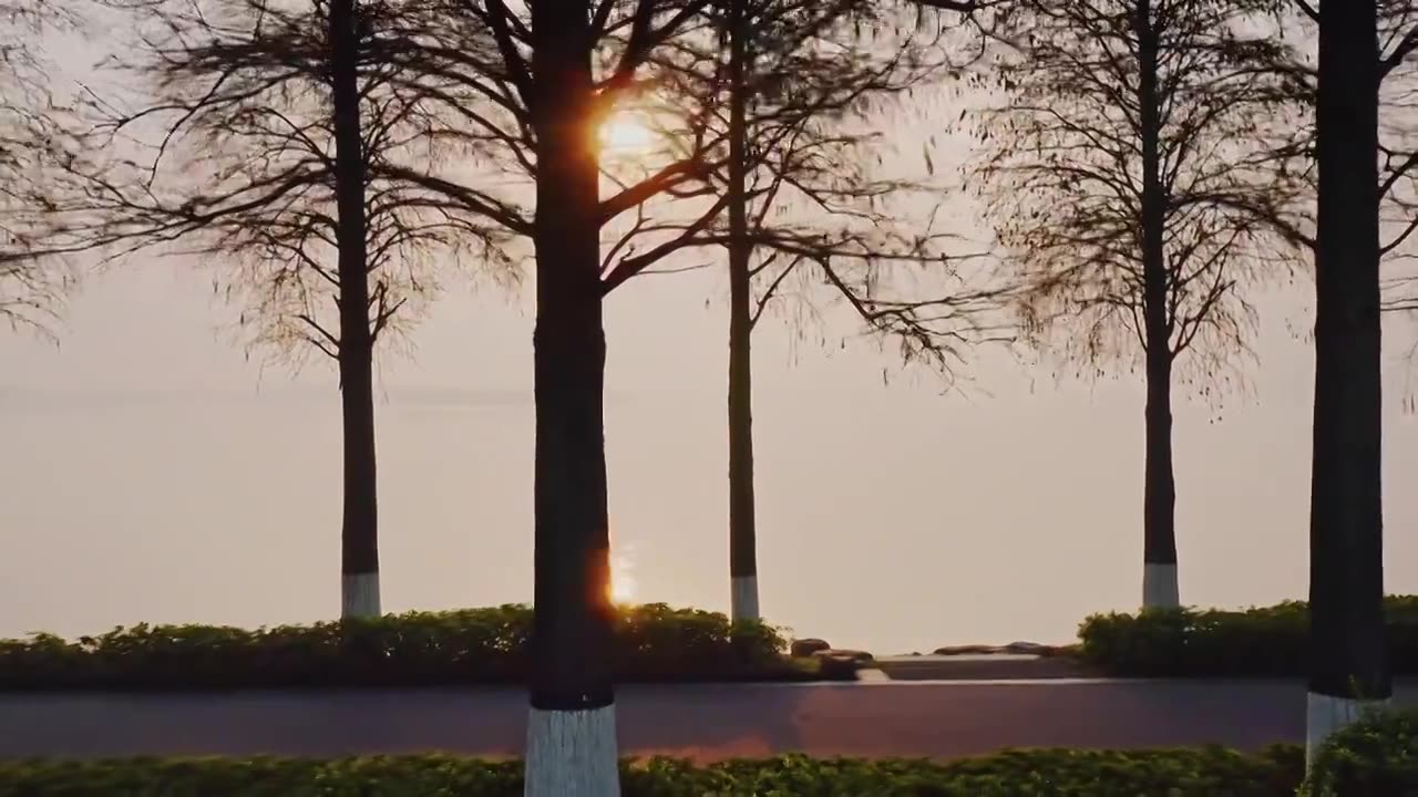 武汉东湖公园风景区自然风光航拍视频视频下载