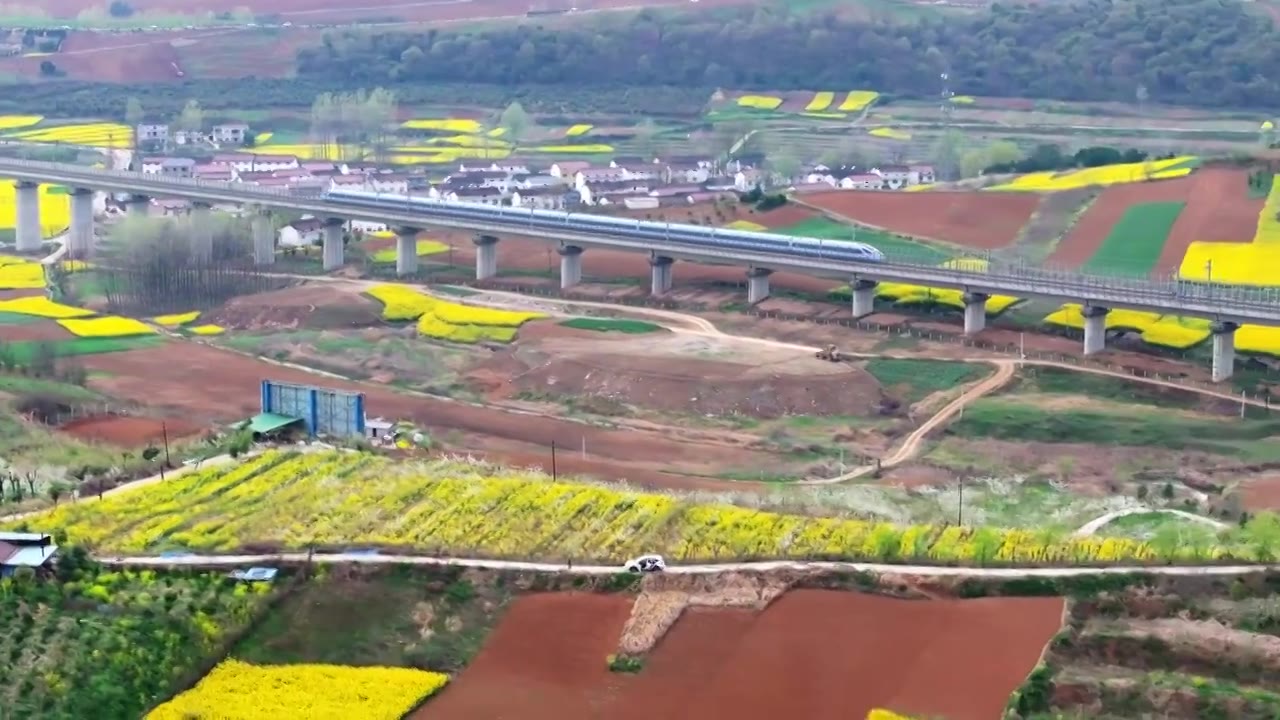 陕西汉中春季油菜花与高铁视频下载
