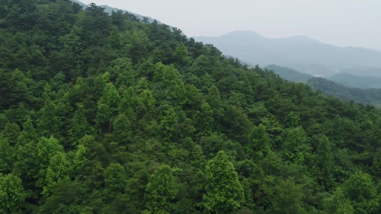 航拍湖南韶山韶峰山体植被视频素材