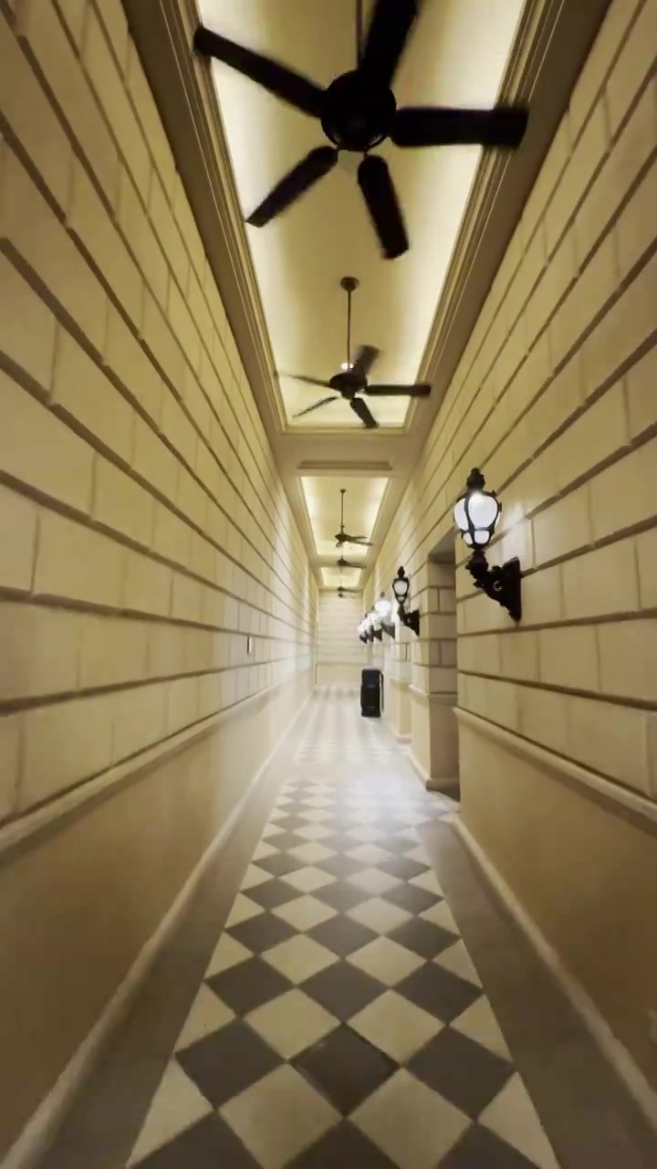 酒店的走廊视频下载