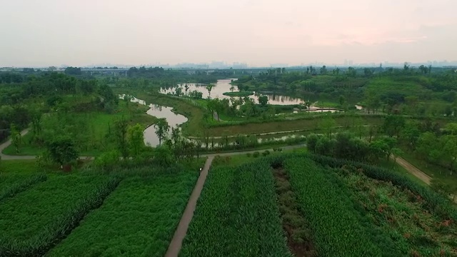 成都锦江白鹭湾生态湿地公园视频素材