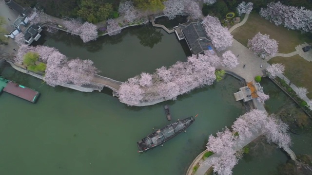 The turtle head isle of taihu lake cherry blossoms resort视频素材
