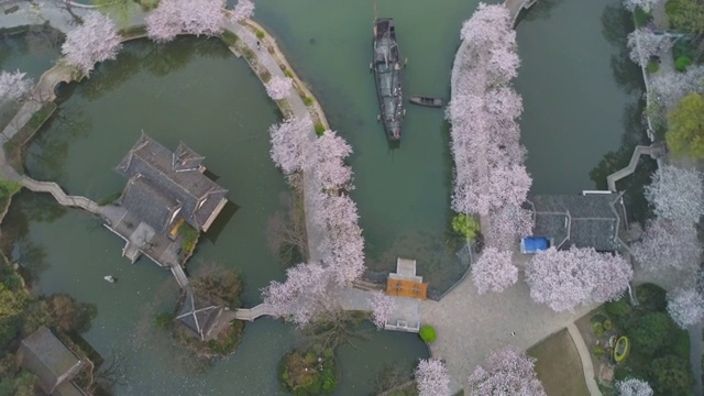The turtle head isle of taihu lake cherry blossoms resort视频素材