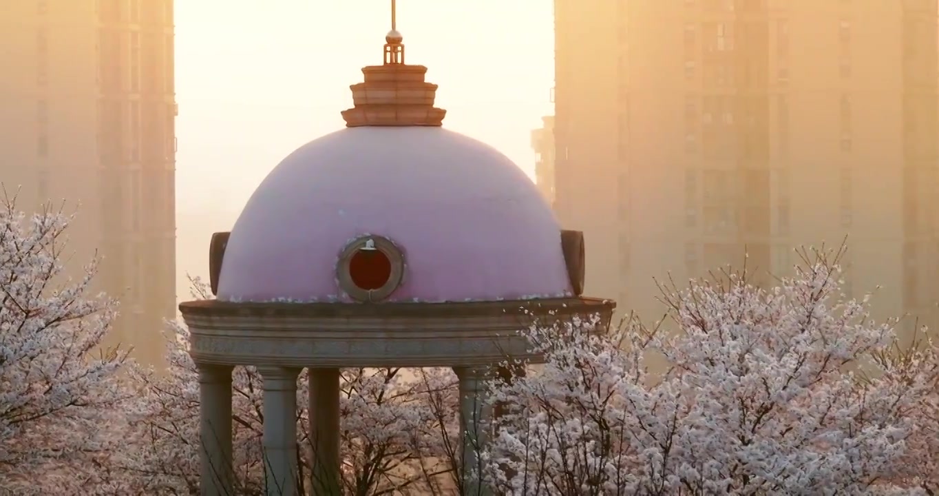 长沙晚安家居文化园樱花视频素材