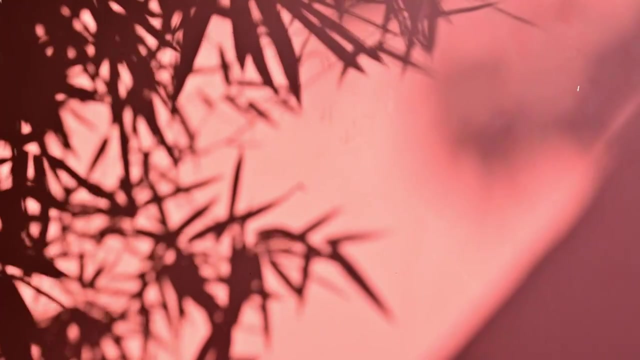 复古红墙上的竹叶树影背景素材视频下载