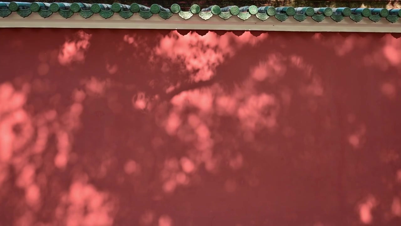 复古红墙绿瓦树影背景素材视频下载