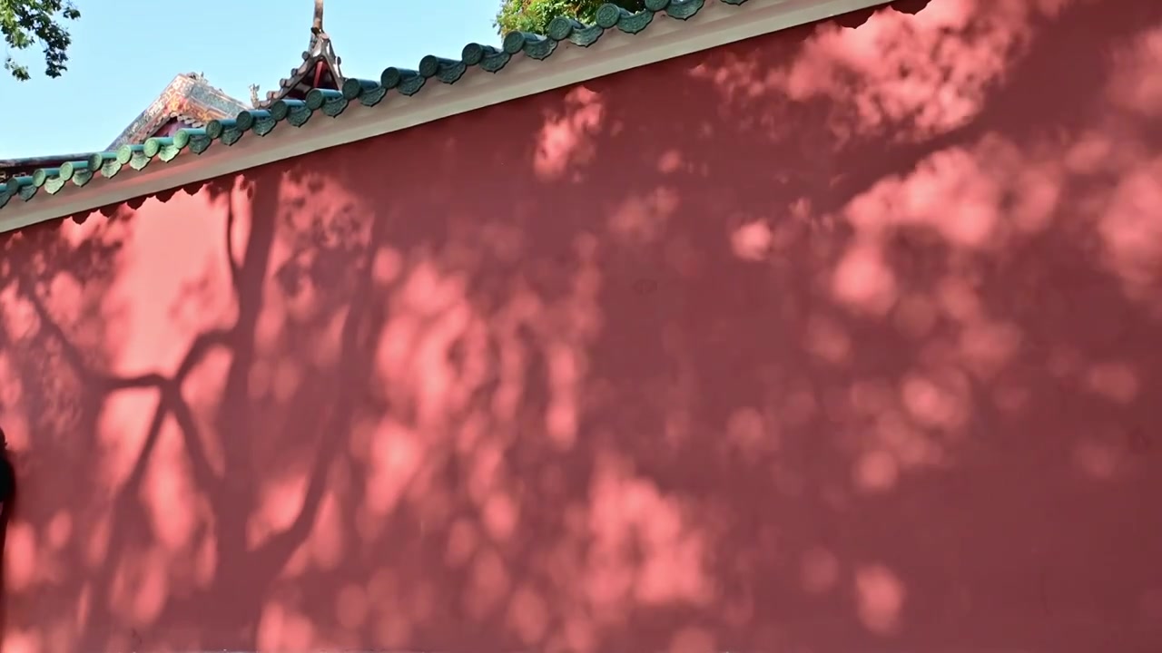 复古红墙绿瓦树影背景素材视频下载