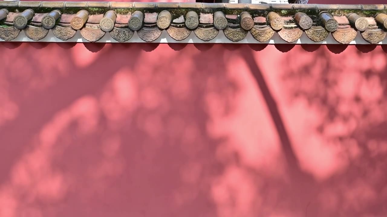复古红墙黄瓦树影背景素材视频下载