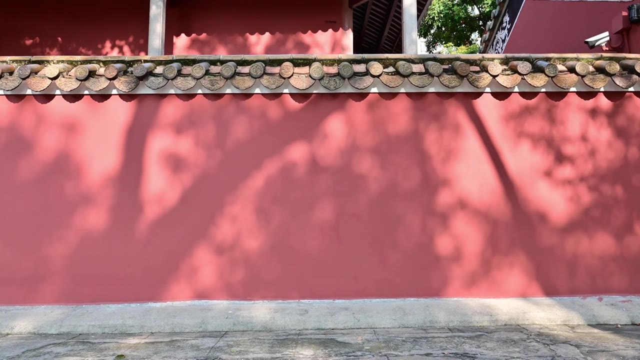 复古红墙黄瓦树影背景素材视频下载