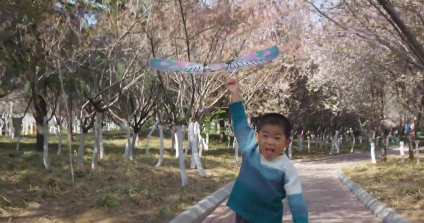 小朋友放风筝玩风车做鬼脸视频下载