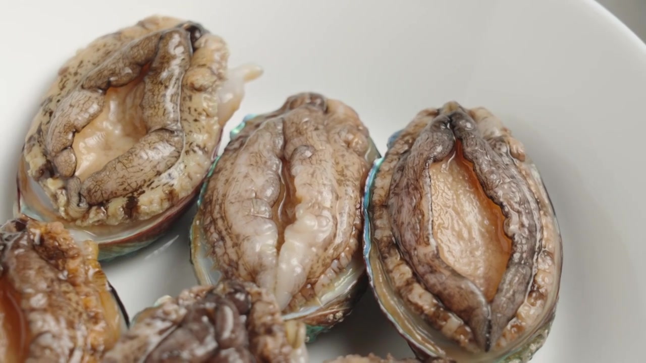 新鲜活鲍鱼食材特写视频素材