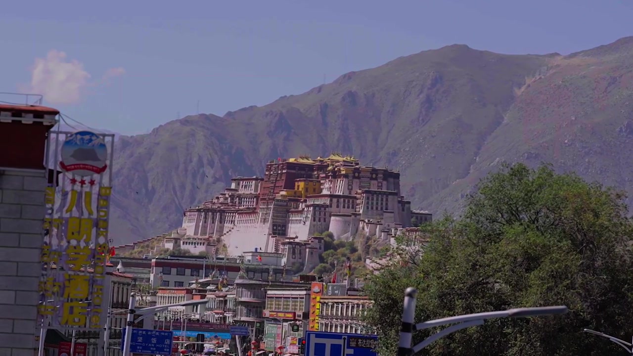 西藏拉萨布达拉宫鸽子慢动作视频下载
