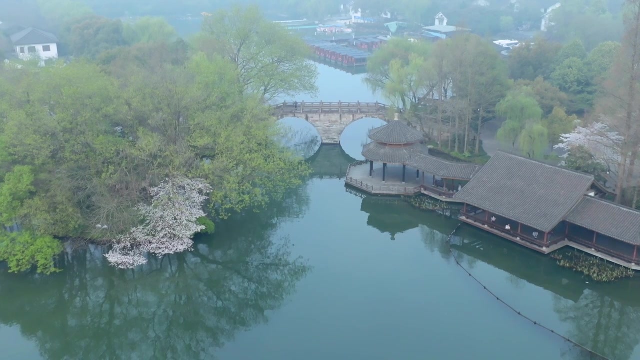 升格航拍春天早晨杭州西湖茅家埠杨公堤视频下载