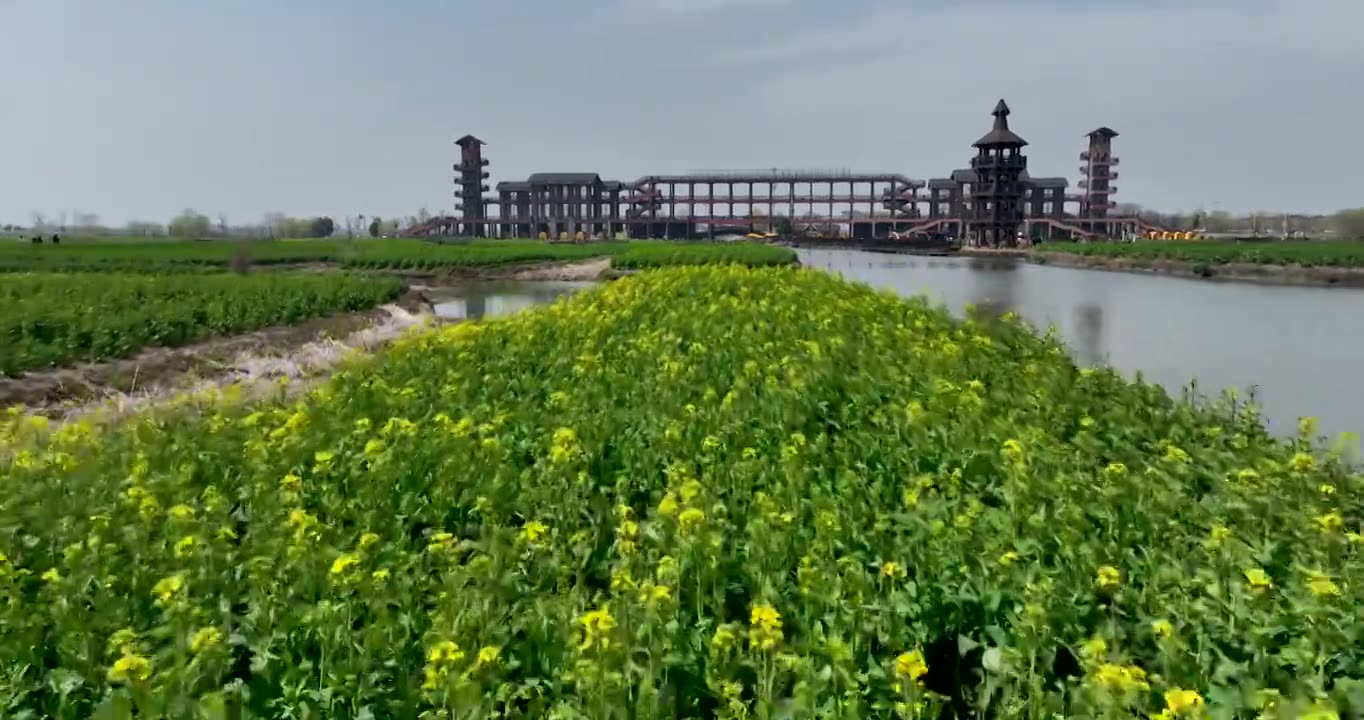 江苏泰州：兴化农业水利遗产千垛景区视频下载