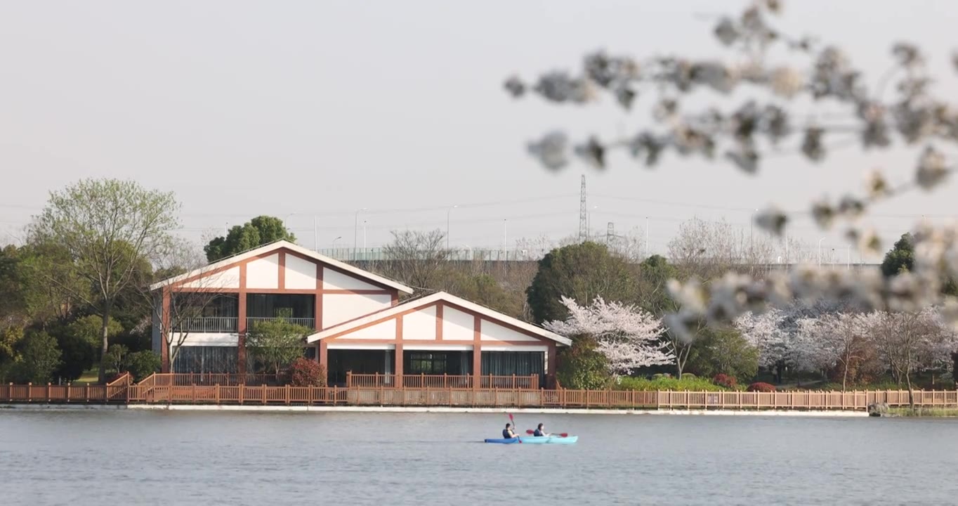公园湖面上的皮划艇4k视频素材