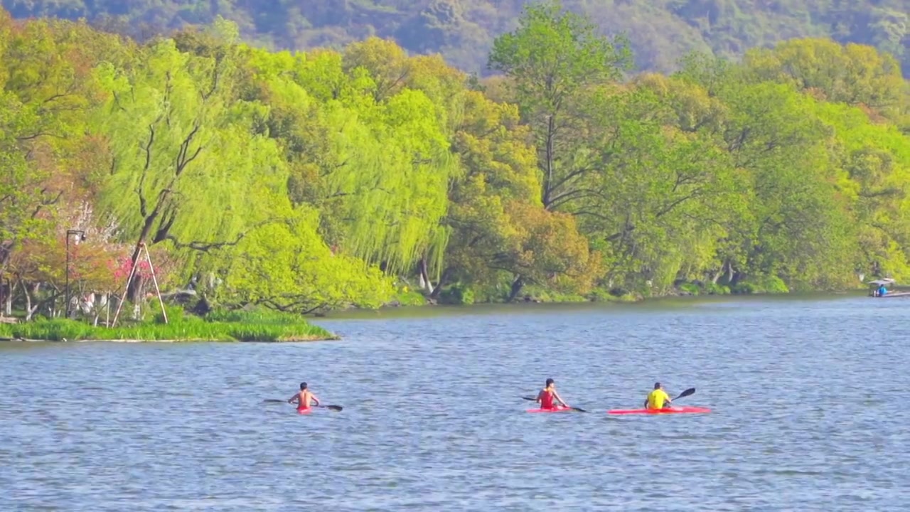杭州西湖春天皮划艇体育训练视频素材