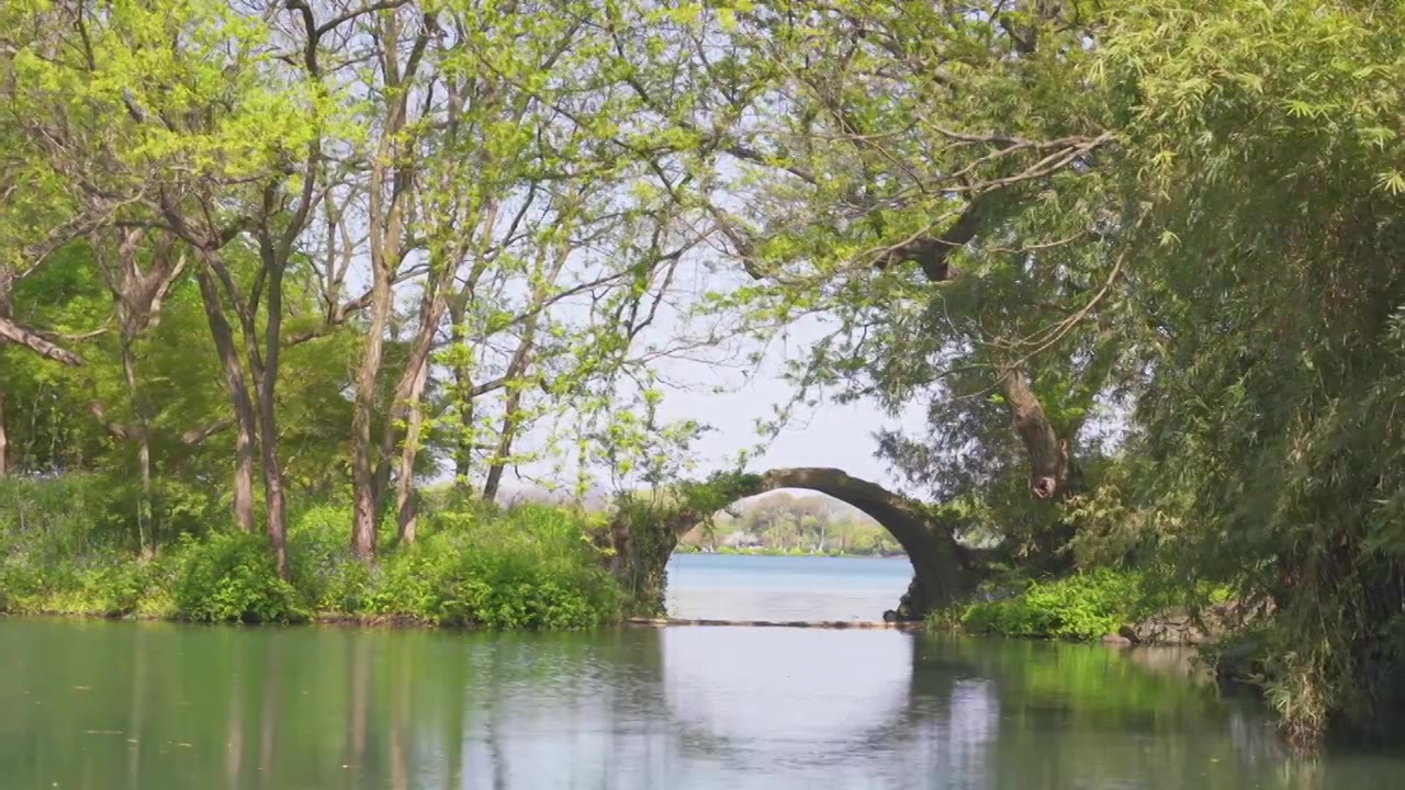 杭州西湖杨公堤上的古桥景行桥春天风景视频下载