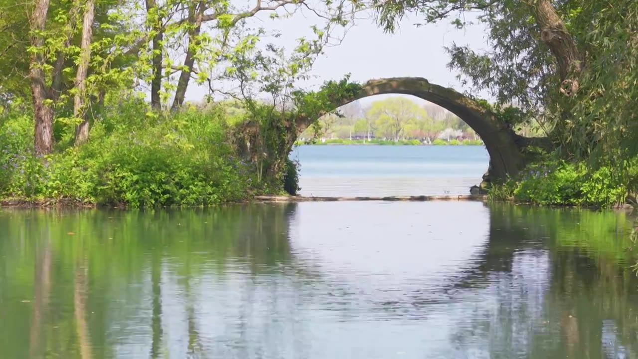 杭州西湖杨公堤上的古桥景行桥春天风景视频下载