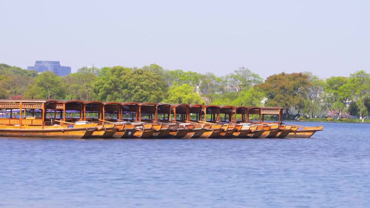 杭州西湖杨公堤春天湖面上停泊的江南手划摇橹船视频下载