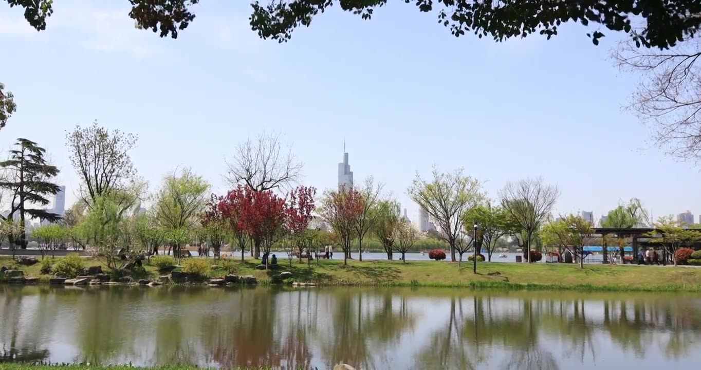 春天南京玄武湖公园生机勃勃春意满满视频素材