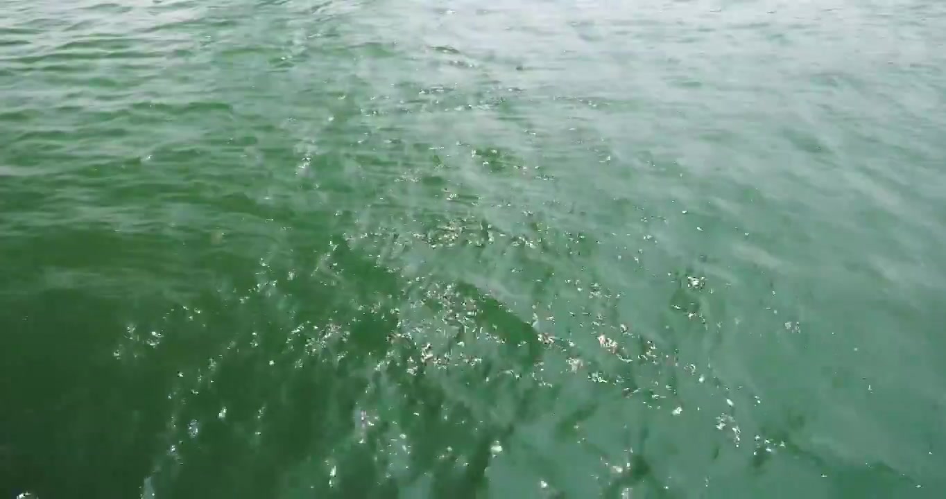 纯净的江水-绿色的江水-重庆嘉陵江视频下载