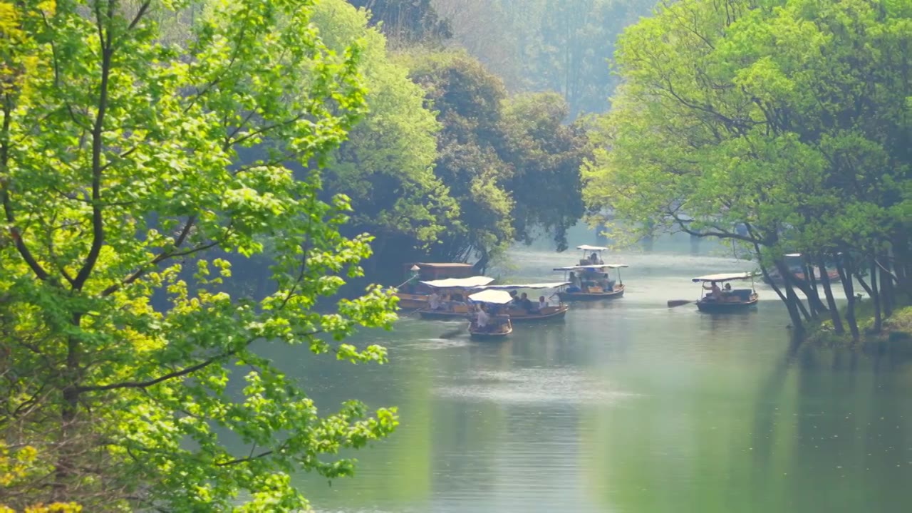 杭州西湖浴鹄湾江南春天手划船自然风景视频素材